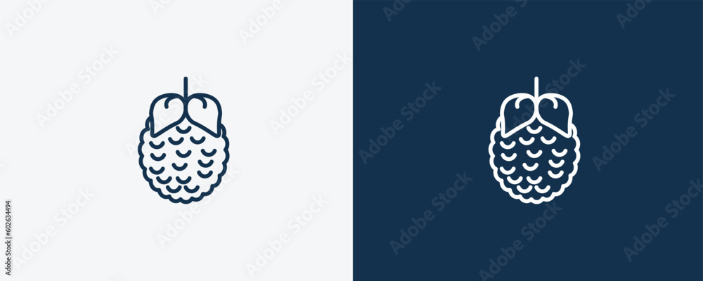 raspberry icon. Outline raspberry icon from vegetables and fruits ...