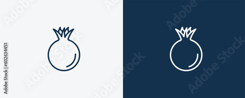 pomegranate icon. Outline pomegranate icon from vegetables and fruits collection. Linear vector isolated on white and dark blue background. Editable pomegranate symbol.