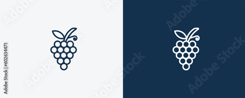 grapes icon. Outline grapes icon from vegetables and fruits collection. Linear vector isolated on white and dark blue background. Editable grapes symbol.