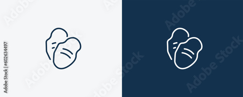tuber icon. Outline tuber icon from vegetables and fruits collection. Linear vector isolated on white and dark blue background. Editable tuber symbol.
