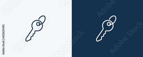 tiny key icon. Outline tiny key icon from tools and utensils collection. Linear vector. Editable tiny key symbol can be used web and mobile