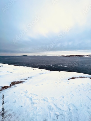 frozen lake in winter