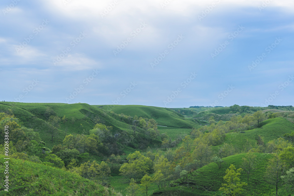 Obraz premium 草原