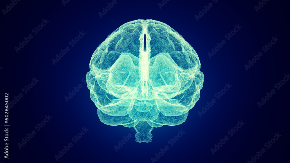 Medical depiction of a human brain Medical depiction of a human brain