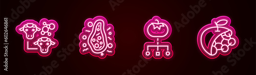 Set line Cloning, Bacteria, Genetically modified food and Biological structure. Glowing neon icon. Vector
