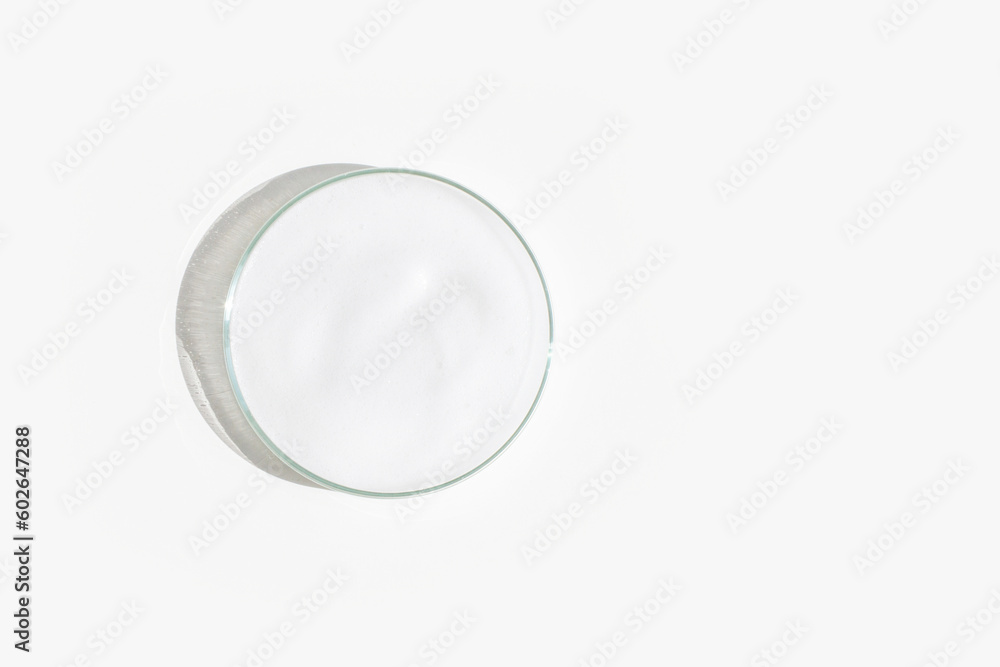 White foam in a Petri dish on a light background. White foam in a Petri dish on a light background.