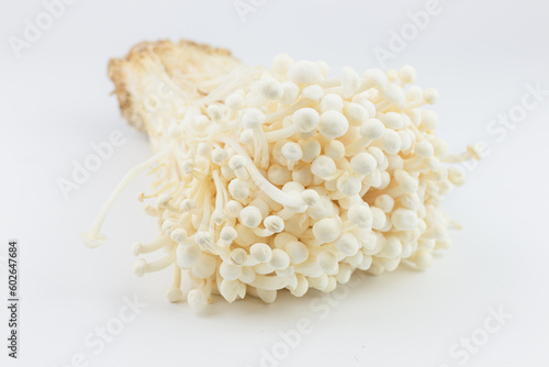 White Enoki mushroom on white background. (Golden needle mushroom)