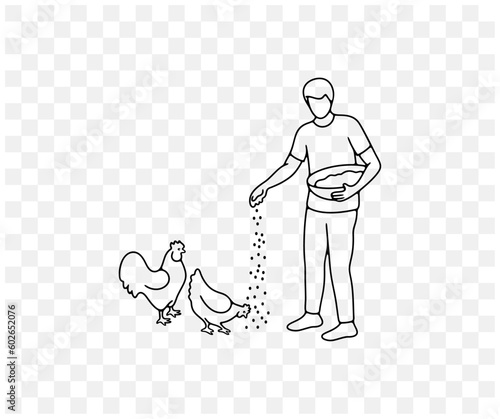 Man feeds chickens grain from the basket, rooster and hen, linear graphic design. Animal, bird, agriculture, farm, chicken coop and poultry yard, vector design and illustration