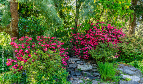 Fototapeta Naklejka Na Ścianę i Meble -  Blooming Flower Garden 5