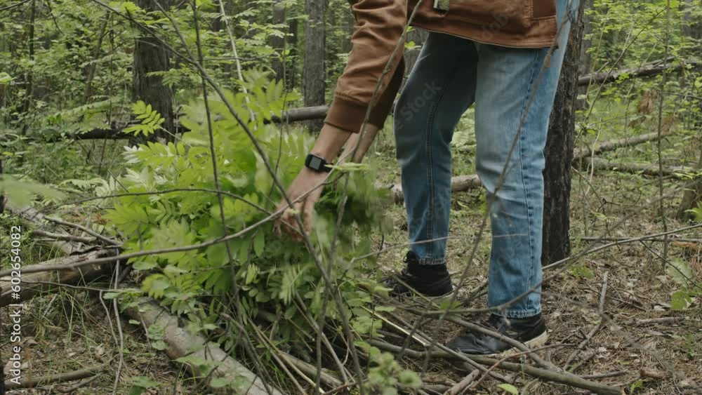 Medium shot of young male Biracial tourist putting green bushes on woods Medium shot of young male Biracial tourist putting green bushes on woods
