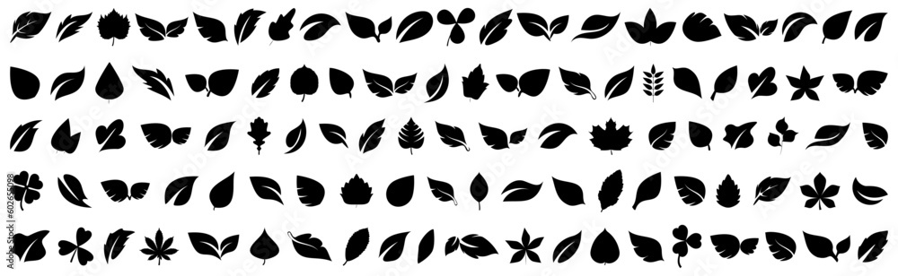 Fototapeta premium Set of black plant leaf icons. Black leaf collection