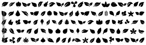 Set of black plant leaf icons. Black leaf collection