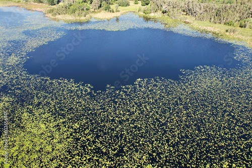An aerial photo of Lake Chautauqua Nature Preserves in Tampa Bay, Florida.