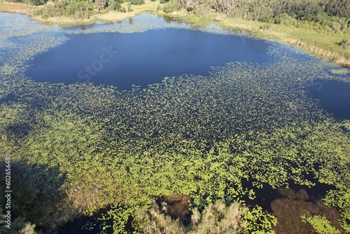defaultAn aerial photo of Lake Chautauqua nature preserves in Tampa Bay, Florida by drone photographer Anita Denunzio.