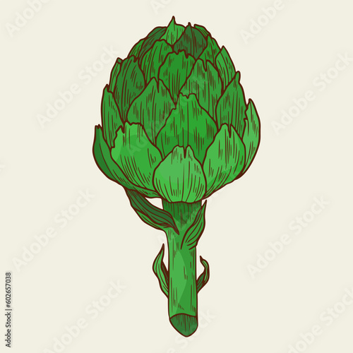 Artichoke sketch hand drawn vector illustration