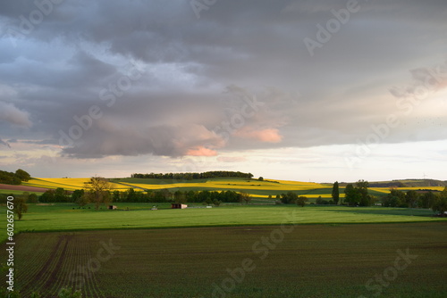 Sunset Mood on Yellow Fields landscape
