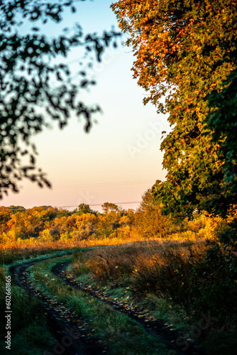 autumn landscape with trees