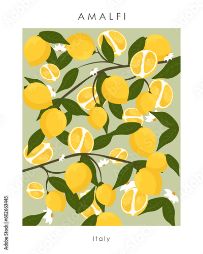 Amalfi lemon poster