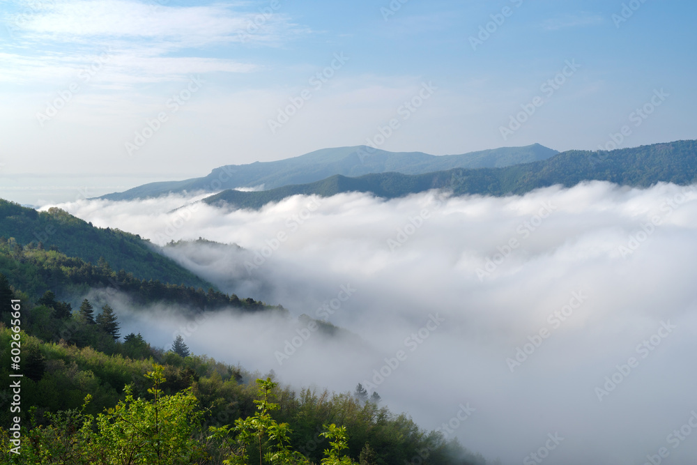 Scene of Mountain range and fog