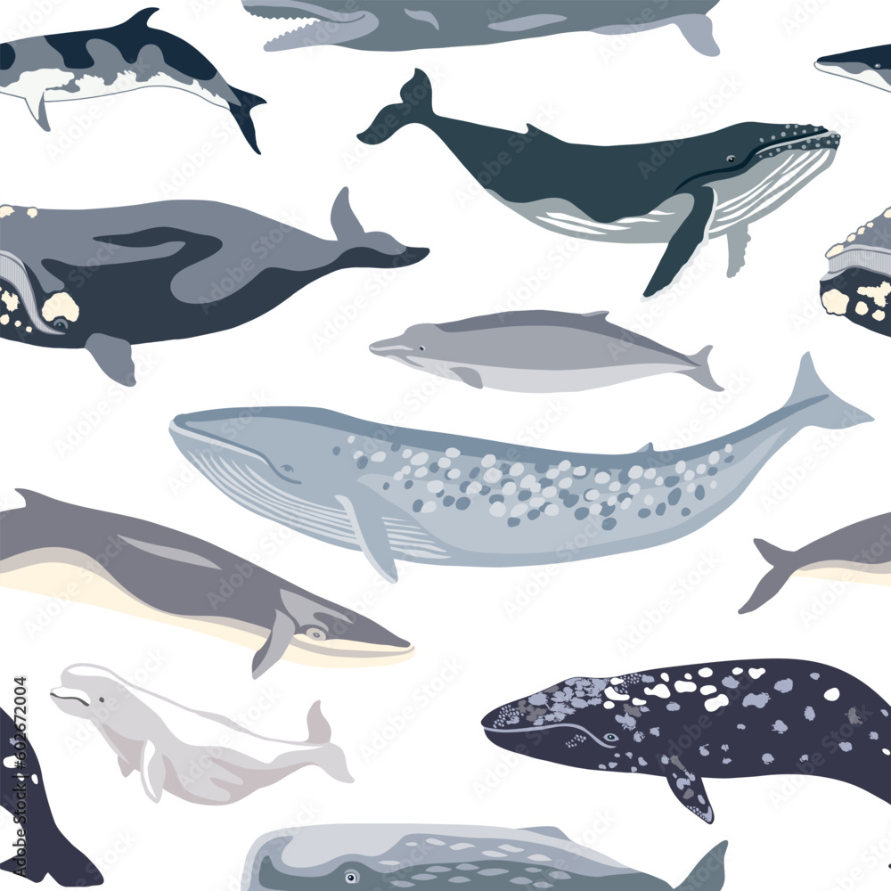 Simple seamless pattern with different whales. Simple seamless pattern with different whales.