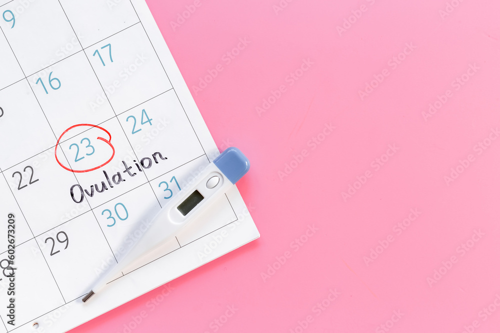 Fototapeta premium Female period calendar with word Ovulation and thermometer. Pregnancy planning background