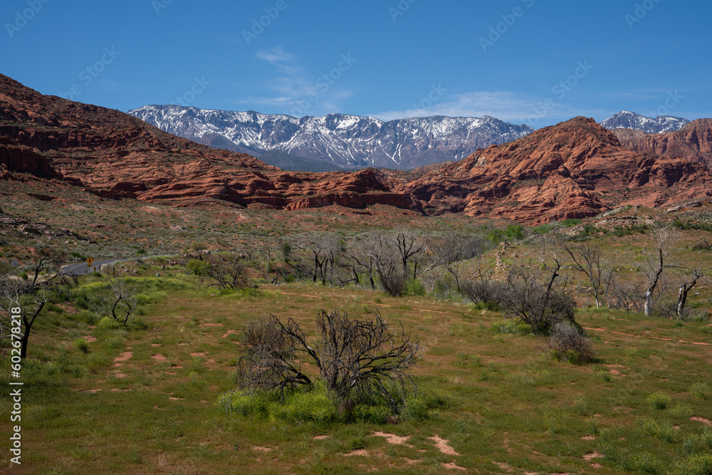 Red Cliffs Conservation Area, Hurricane, Utah, USA. Red mountains with snowy mountains in the background. 