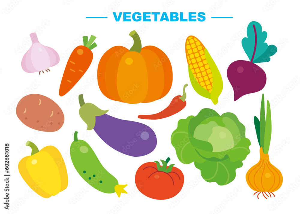 Set of vegetables on white background: garlic, carrot, pumpkin, beetroot, onion, potato, tomato, cucumber, eggplant, pepper, chili, cabbage, corn. Vector flat isolated illustration Set of vegetables on white background: garlic, carrot, pumpkin, beetroot, onion, potato, tomato, cucumber, eggplant, pepper, chili, cabbage, corn. Vector flat isolated illustration