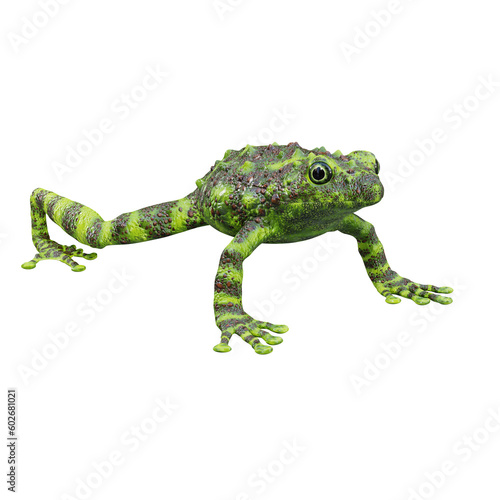 3d illustration of Vietnamese mossy frog.