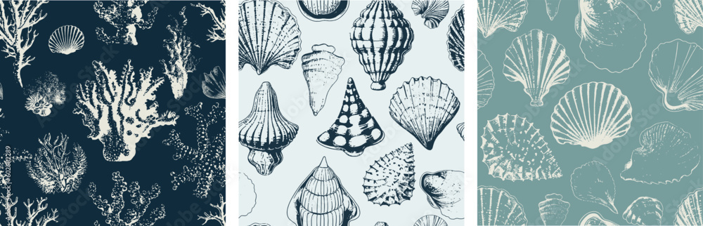 Fototapeta Seashell and Coral Ocean Marine life Seamless Vector Pattern Underwater Nursery set of 3