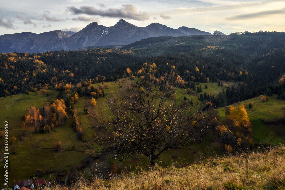 Obraz premium landscape in the mountains