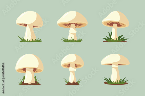 Vector Hand Drawn Mushroom Flat Icon Set Isolated. White Pale Grebe, Fly Agaric Sign Collection. Magic Mushroom Symbol, Design Template. Vector illustration