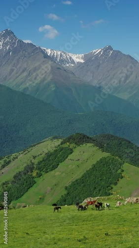 Wallpaper Mural Aerial view of herd of horses grazing in mountains at summer. Vertical video Torontodigital.ca