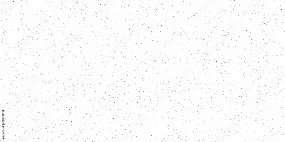 Obraz premium Seamless white paper texture background and terrazzo flooring texture polished stone pattern old surface marble background. Monochrome abstract dusty worn scuffed background. Spotted noisy backdrop