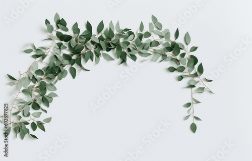 Minimal floral frame made of dry eucalyptus tree leaves and branches. Green rectangular wreath isolated on white table background. Natural composition, decor. Flat lay, top view. Generative AI © Karol