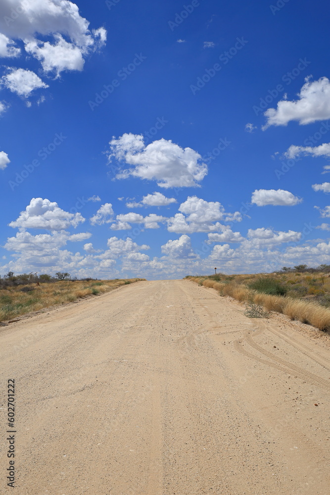 empty gravel road in Namibia