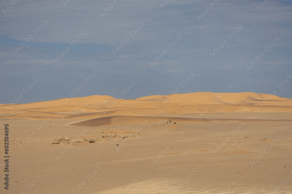 scenic view of the Namib Desert