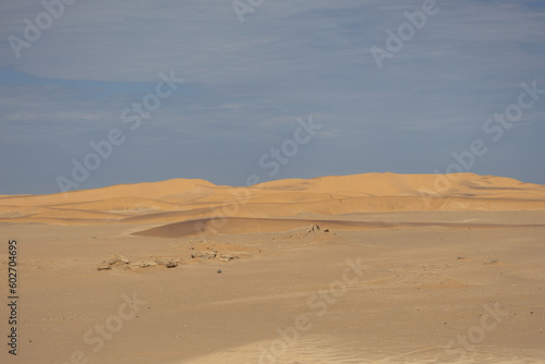 scenic view of the Namib Desert