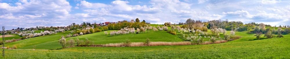 Idyllischer Panoramablick mit blühendem Obstbäumen im Frühling in Kalchreuth - Fränkischen Schweiz, Deutschland