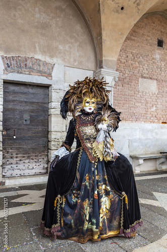 Gorgeous lady dressed in mask for the Carnival of Venice