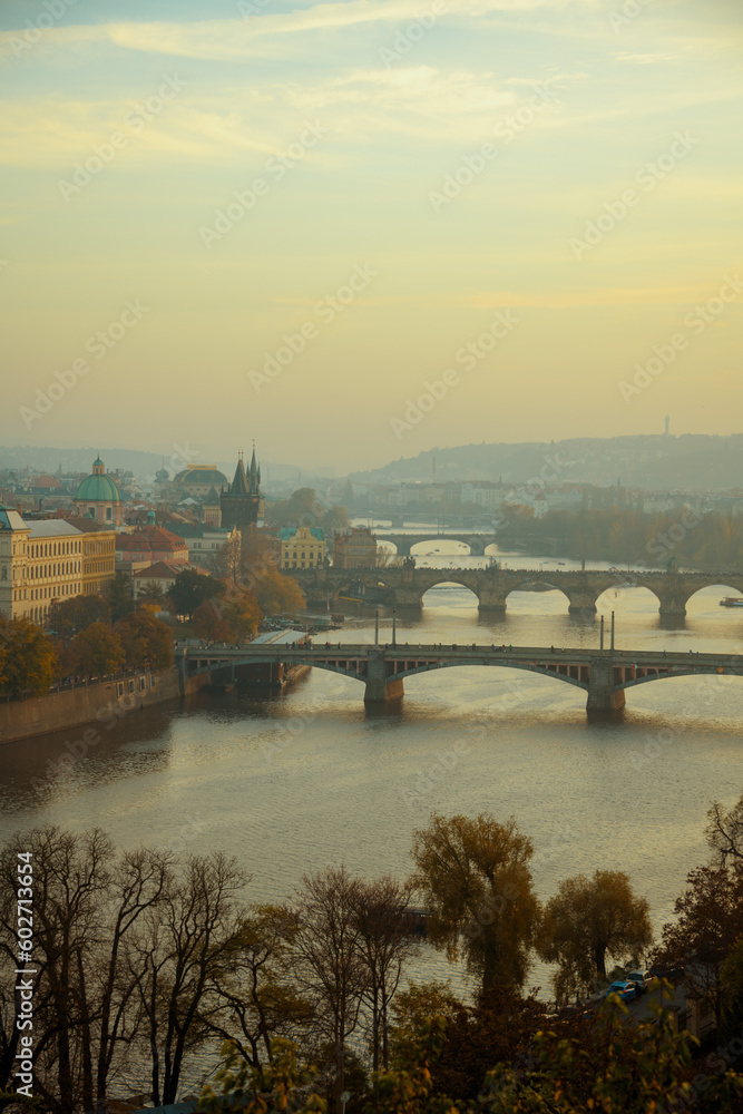 landscape with Vltava river and Charles Bridge - obrazy, fototapety, plakaty 