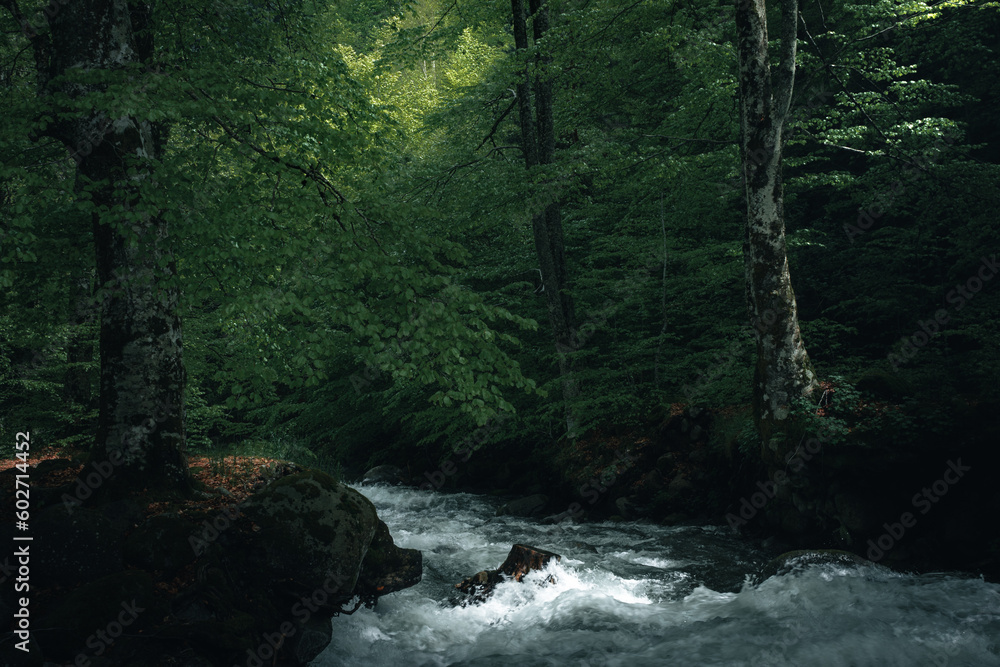 Beautiful woodland landscape with a big river. Beautiful woodland landscape with a big river.