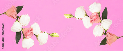 Beautiful white and pink flowers on the pink background. Copy space. Top view.
