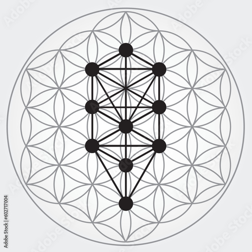 Symbole de la fleur de vie couleur grise et noire, roue énergétique de l'univers cosmique, arbre des séphiroth, kabbale