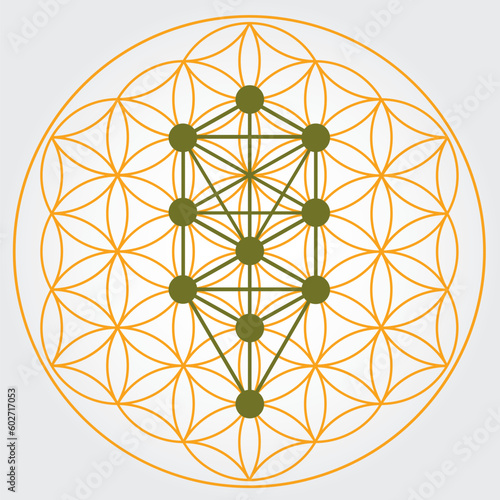Symbole de la fleur de vie couleur jaune et vert, roue énergétique de l'univers cosmique, arbre des séphiroth, kabbale