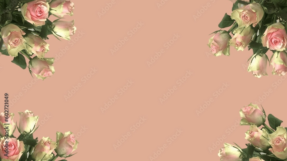 Delicate bouquet of pastel roses on light pink background Delicate bouquet of pastel roses on light pink background
