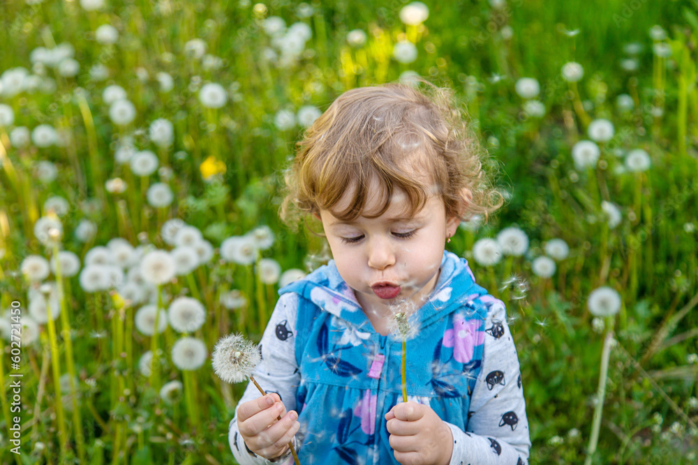 A child in nature blows a dandelion. Selective focus. A child in nature blows a dandelion. Selective focus.