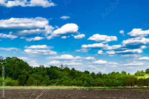 Beautiful horizon scenery in village meadow on color natural background