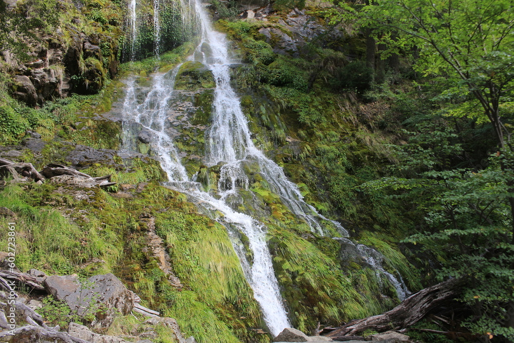 Fototapeta premium Landscape of the Argentine Patagonia with mountains, rivers, forests and lakes