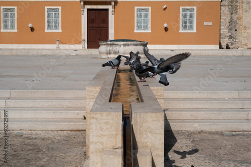 Zadar first time this year in spring