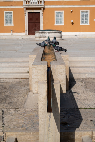 Zadar first time this year in spring